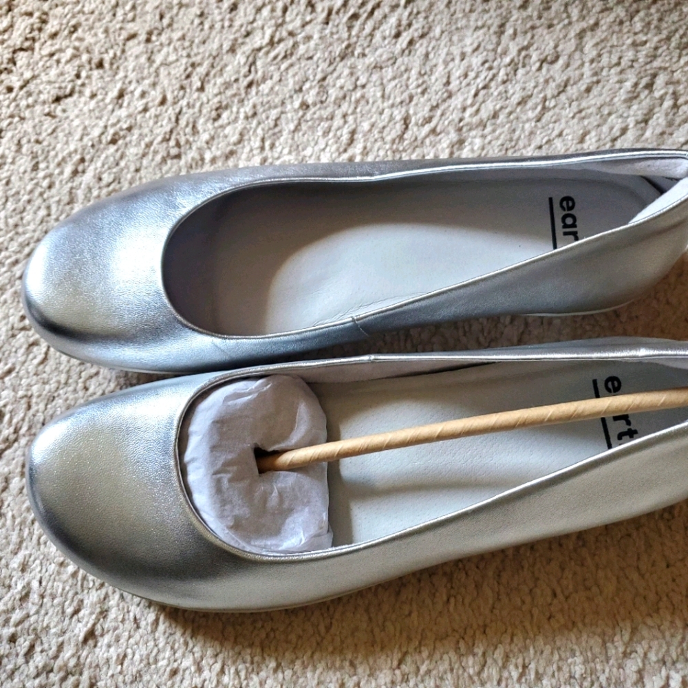 Earth silver flats